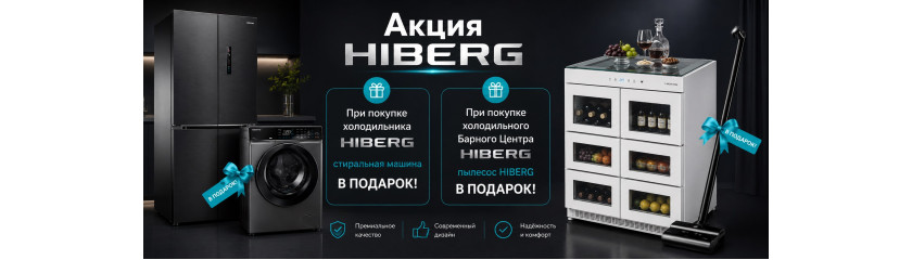 Акция HIBERG