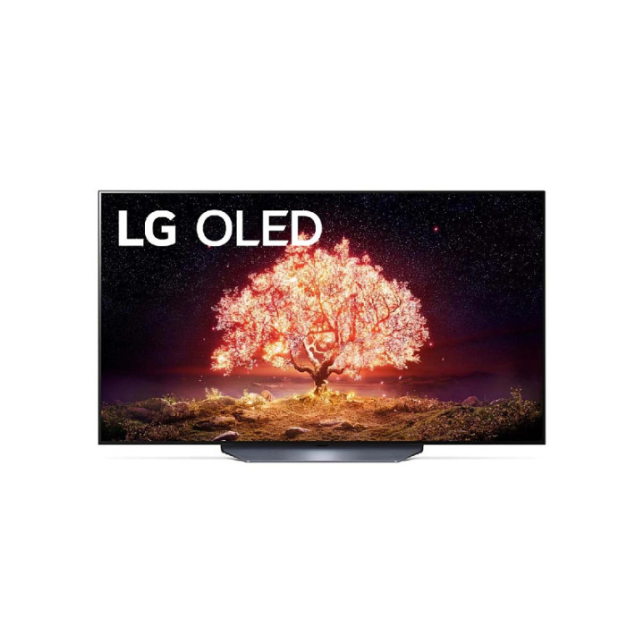 Телевизор LG OLED55B1RLA
