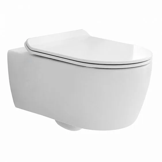 Унитаз SSWW CT2039V