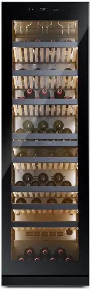 Винный шкаф CASARTE CASWS170GDAI