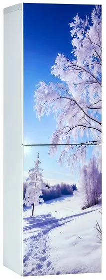 Холодильник ОРСК 177 B Glass ZIMA