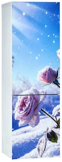 Холодильник ОРСК 177 B Glass ROSE