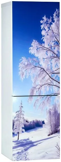 Холодильник ОРСК 175 B Glass ZIMA